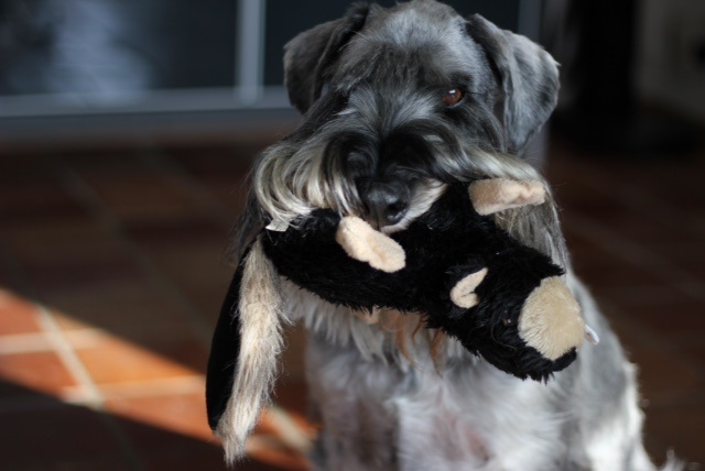 Luuk met zijn knuffel