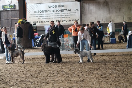 met alle pups in de ring