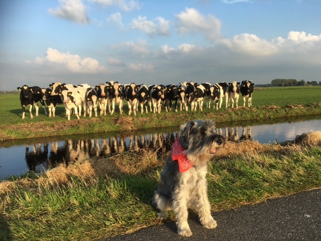 luuk-met-zijn-vriendinnen-uit-de-polder
