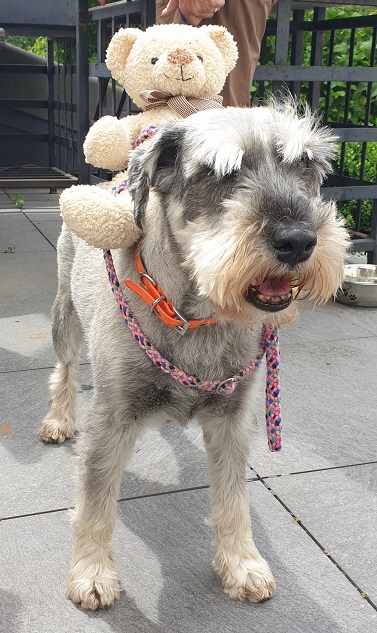 Ellen: Ik ben op vakantie en kwam een teddybeer tegen.
