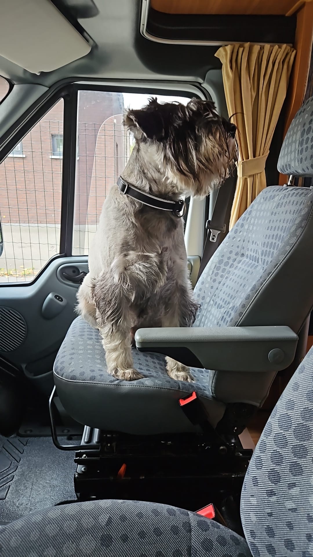 ivor ik ben er klaar voor