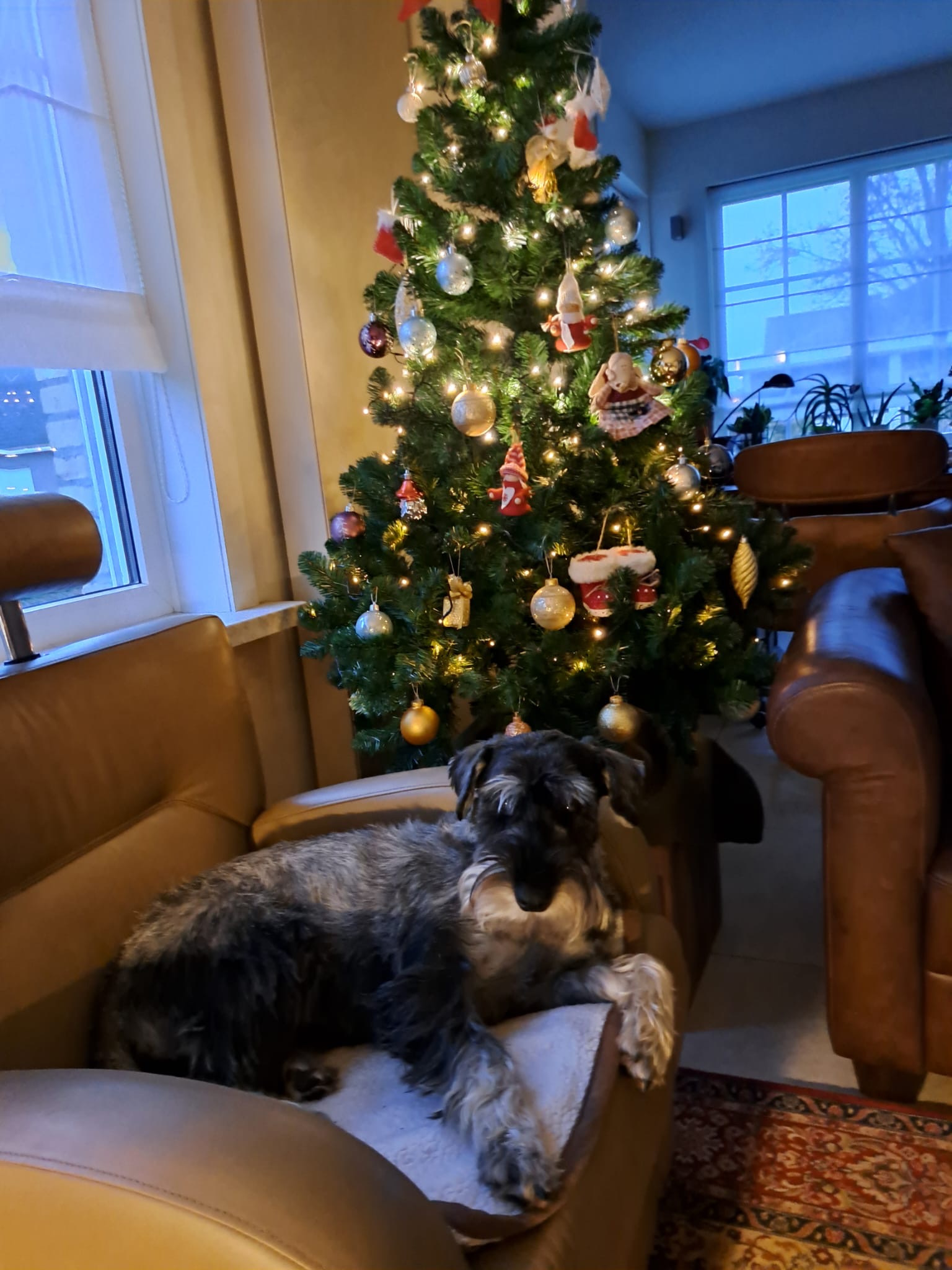 83c5dc1b-5812-4a20-bf9f-8039a1891ab2